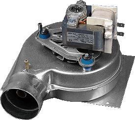 wc c1 e27616 fan.gif